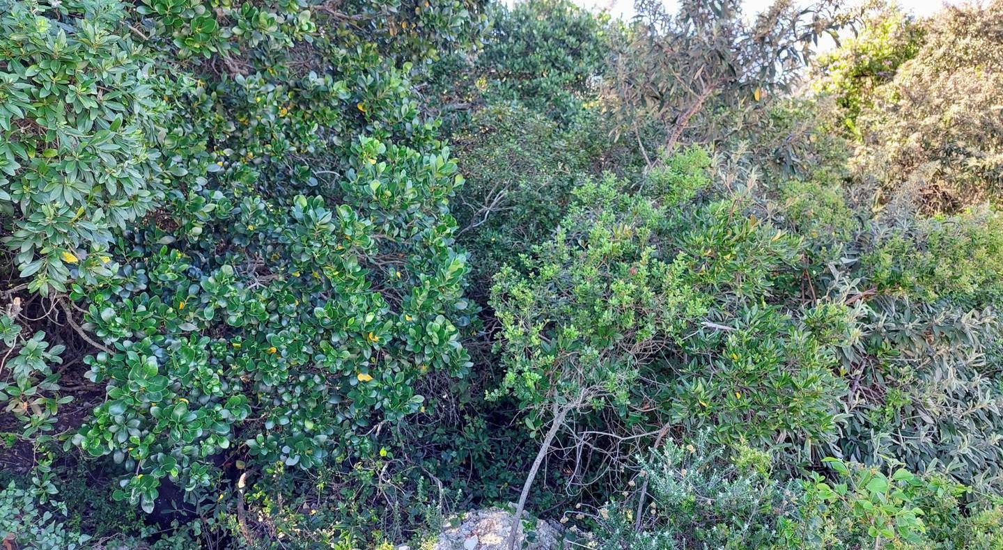 Blue Horizon Bay 21 Wistaria Circle Road Plot For Sale