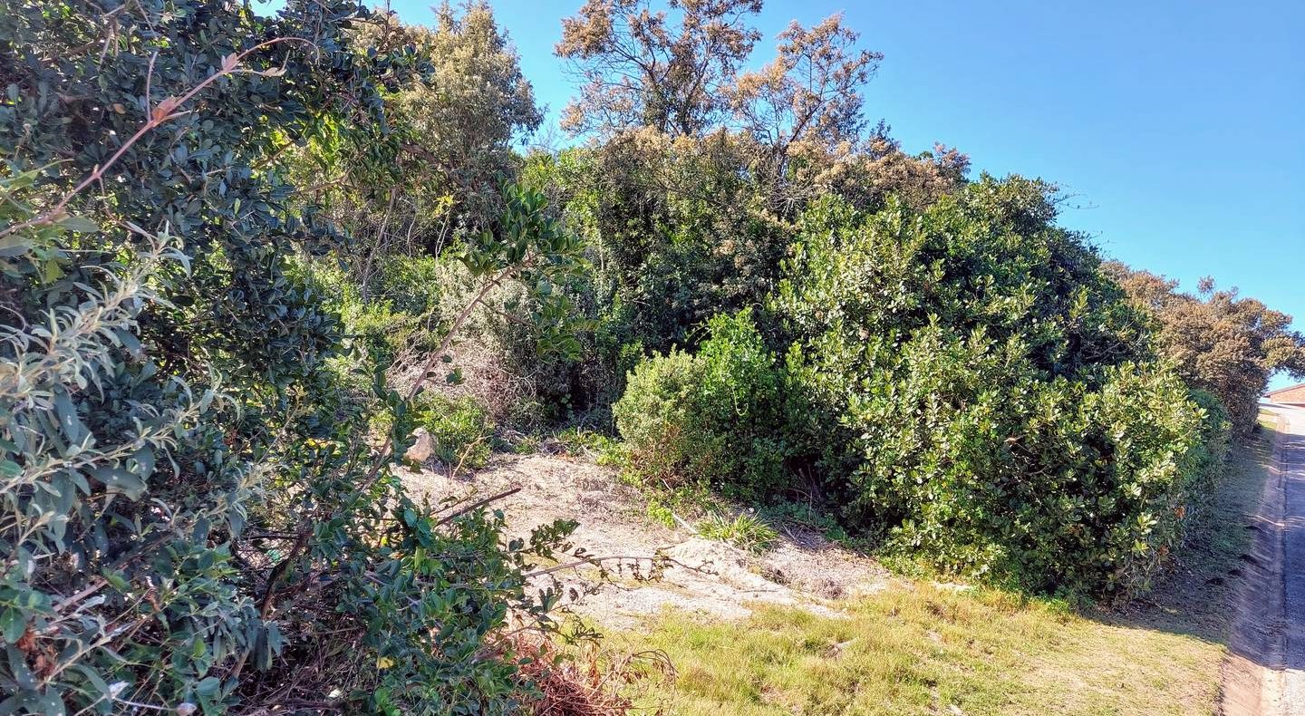 Blue Horizon Bay Port Elizabeth 21 Wistaria Circle Road Plot For Sale