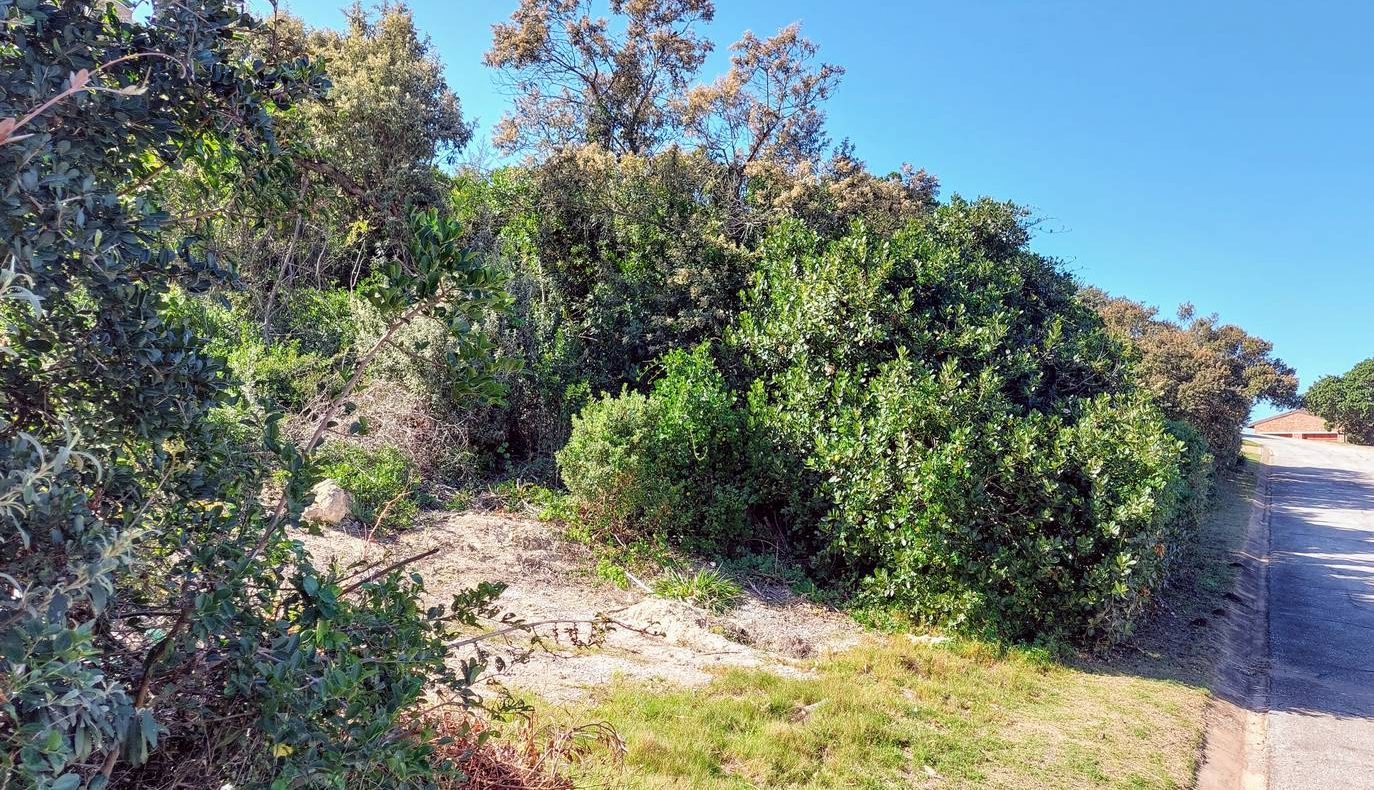 Blue Horizon Bay Port Elizabeth Gqeberha 21 Wistaria Circle Road Plot For Sale