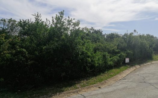 PE Aalwyn Street Plot For Sale