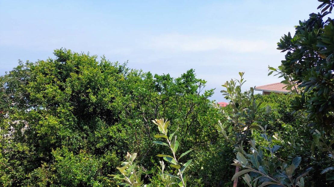 25 Daffodil Street Plot For Sale Gqeberha