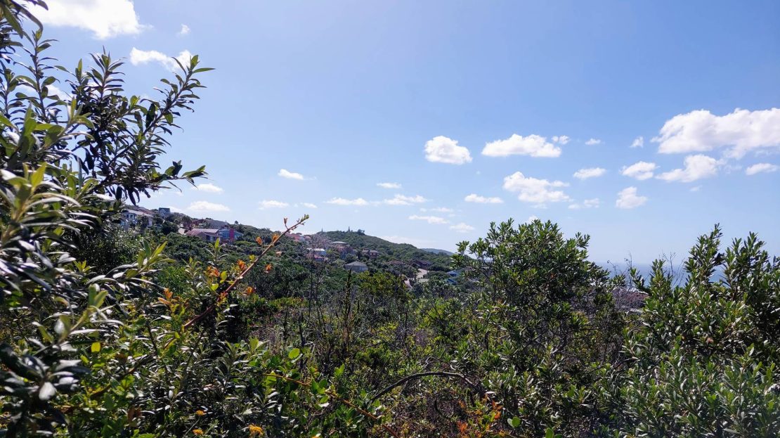 Pe 15 Daffodil Street Plot For Sale