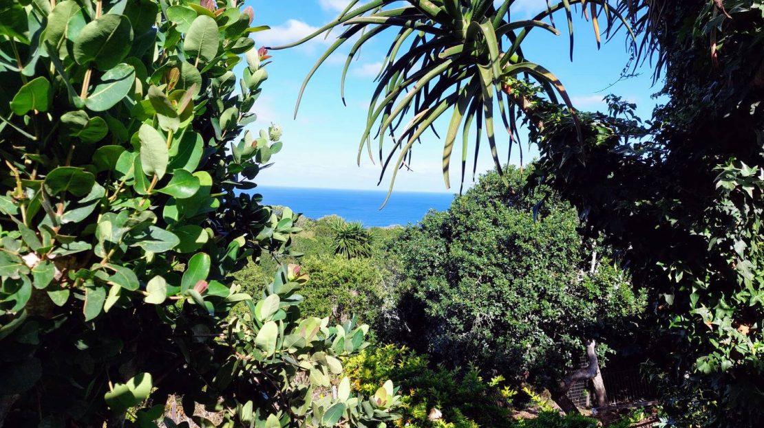103 Ocean View Drive House For Sale Blue Horizon Bay