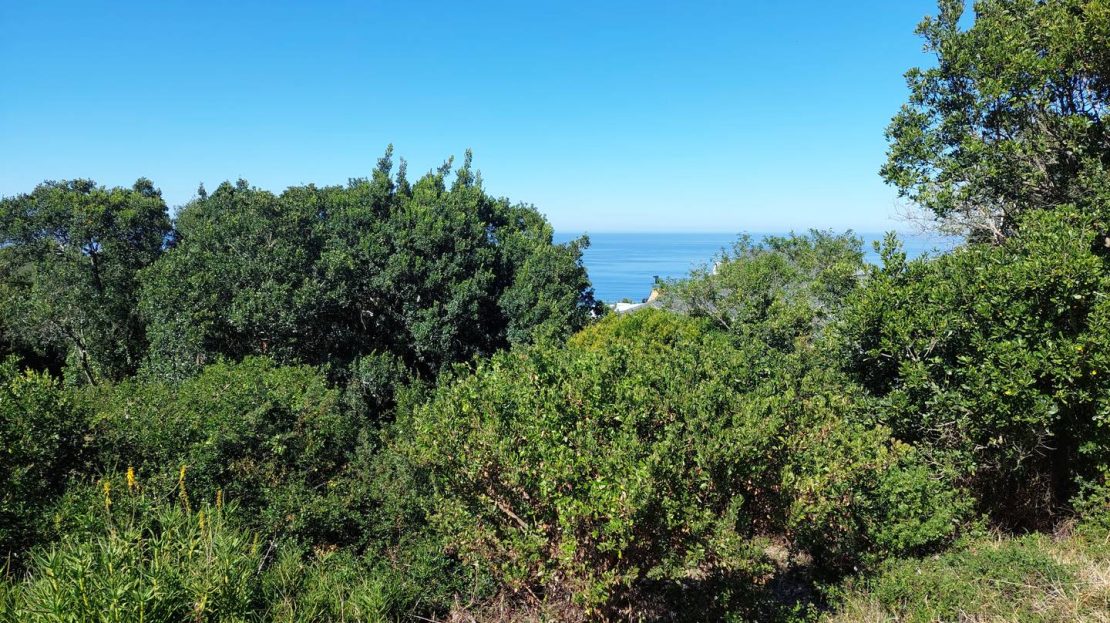 19 Delphinium Street Plot For Sale Bhb