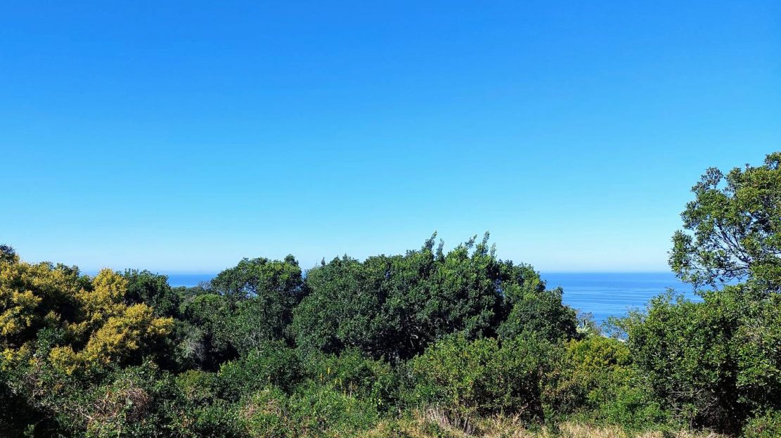 19 Delphinium Street Plot For Sale Blue Horizon Bay Pe Gqeberha