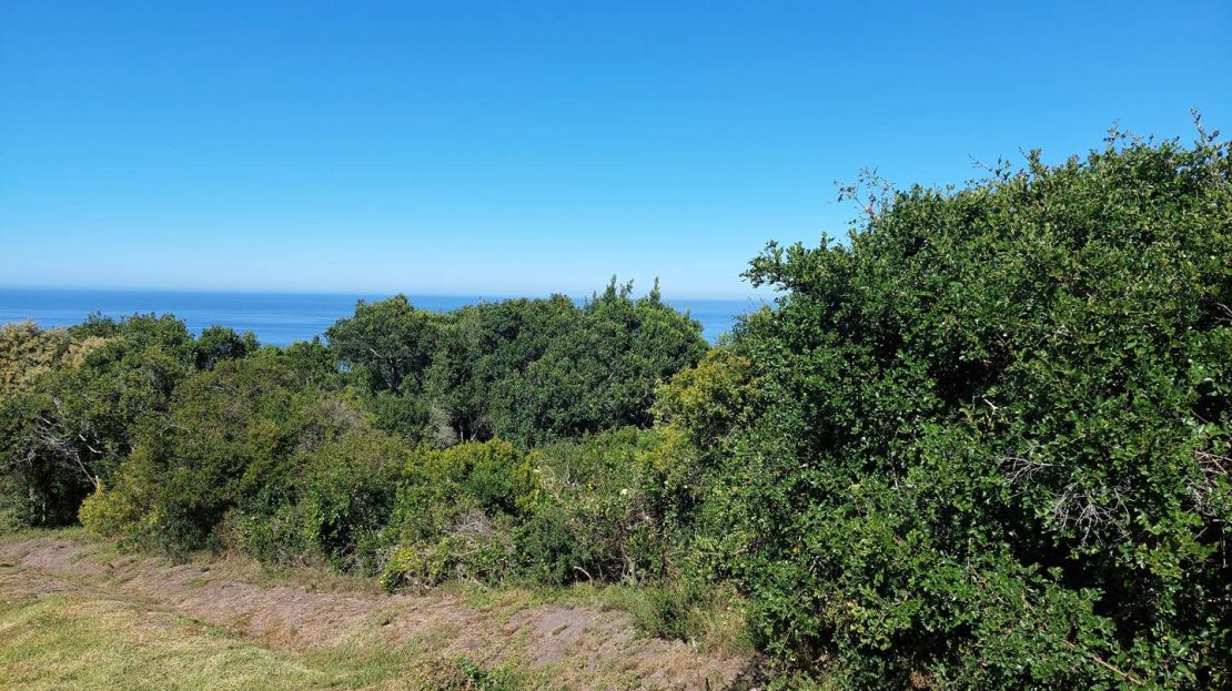 19 Delphinium Street Plot For Sale Port Elizabeth Gqeberha