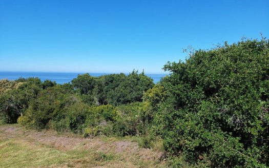 19 Delphinium Street Plot For Sale Port Elizabeth Gqeberha